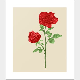 Rosa Oklaholma Botanical Posters and Art